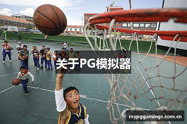 关于PG模拟器